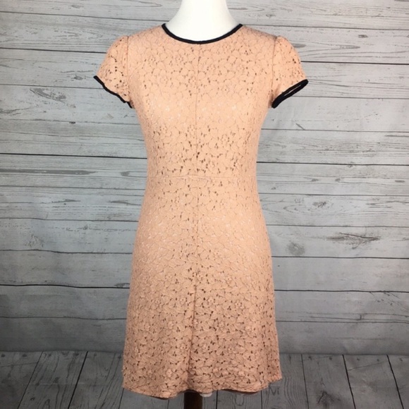 LOFT Dresses & Skirts - Loft pink lace dress